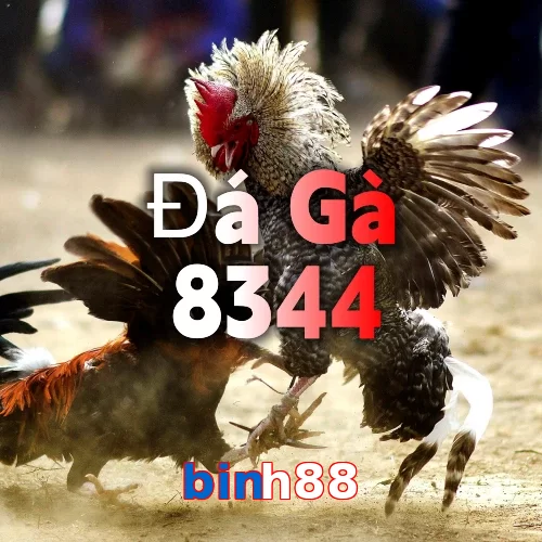 binh88